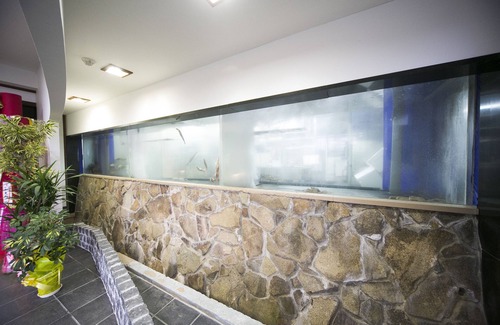 Sakai Casa | Hareya Ryokan