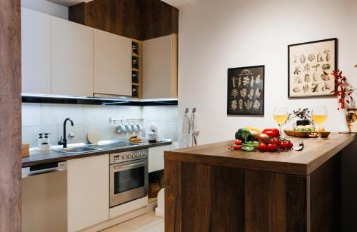 Stari Grad Apartamento | Harmonic Nest Old Town Renovated