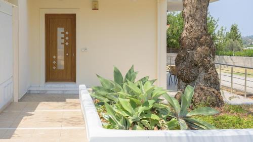 Faliraki Casa | Harmony House