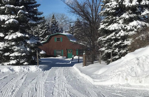Traverse City Cabina | El escondite de Harrison - ¡Un pedacito de cielo en la tierra!