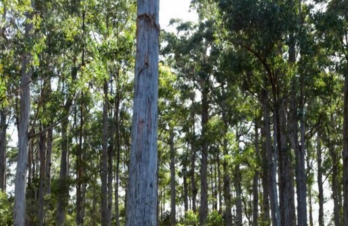 Southport Cabina | Hastings Bay Retreat
