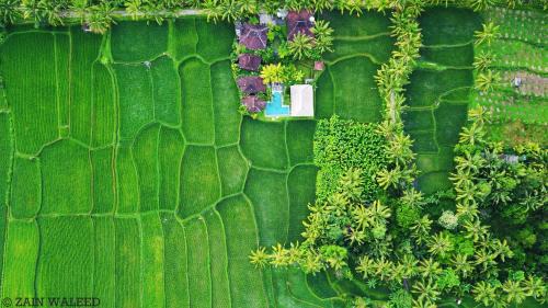 Sambahan Cama Y Desayuno | Hati Padi Cottages