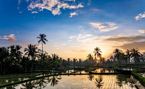 Sambahan Cama Y Desayuno | Hati Padi Cottages