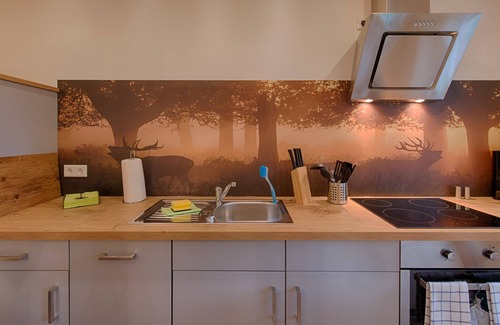 Mandelholz Apartamento | Haus 2 Ferienwohnung 1