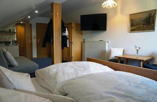 Mariazell Apartamento | Haus Alpenland
