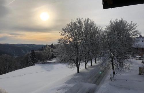 Frauenwald Apartamento | Haus Bergblick