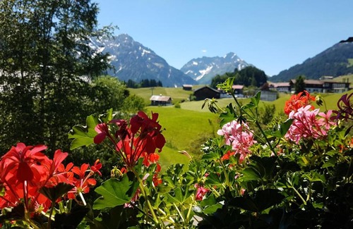 Riezlern Apartamento | Haus Bergliebe Kleinwalsertal