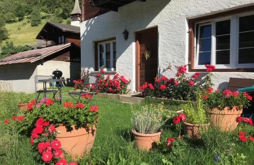 Niederwald Apartamento | Haus Bortis