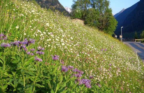 Sankt Leonhard im Pitztal Apartamento | Haus Breitfuss