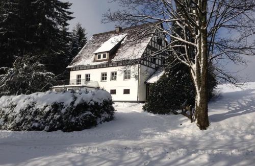 Winterberg Villa | Haus Dupont