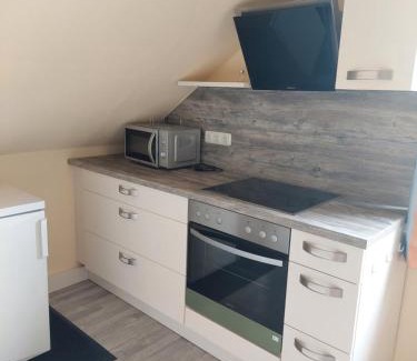 Windischgarsten Apartamento | Haus Jezek
