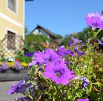 Emmersdorf an der Donau Apartamento | Haus Lindenhofer