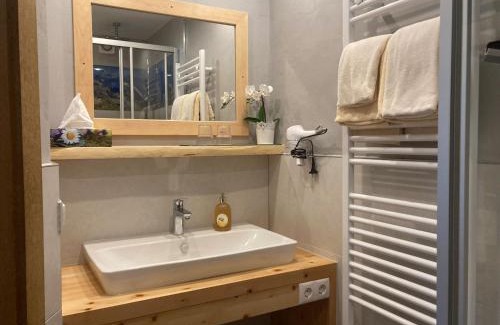 Vorderlanersbach Apartamento | Haus Martina