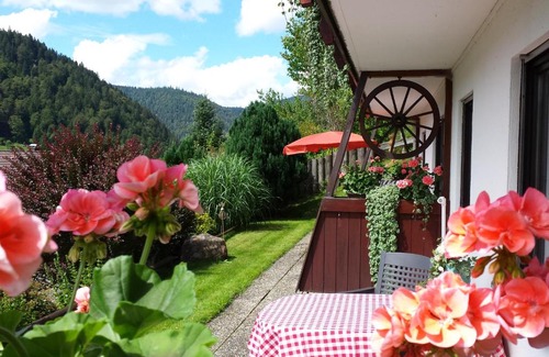 St. Blasien Apartamento | Haus Schäfer