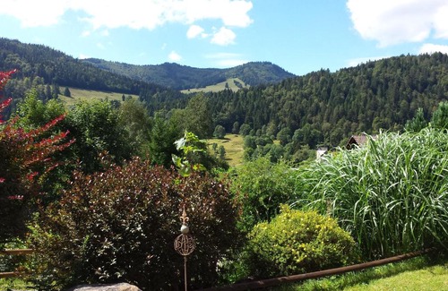 St. Blasien Apartamento | Haus Schäfer