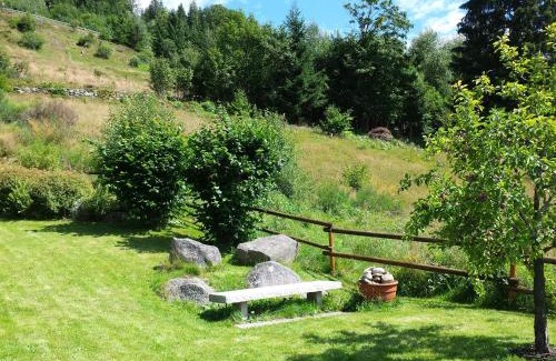 St. Blasien Apartamento | Haus Schäfer