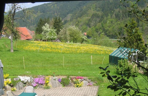 Gutach Apartamento | Haus Schneider, apartamento Talblick