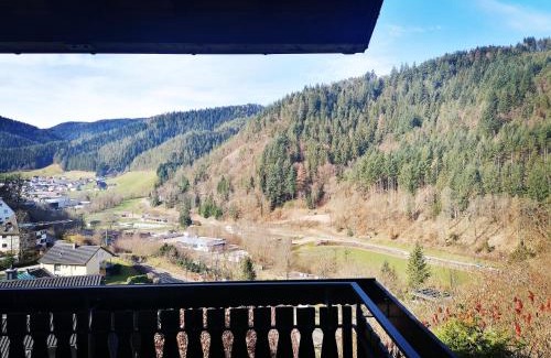 Hornberg Casa | Haus Schwarzwaldblick