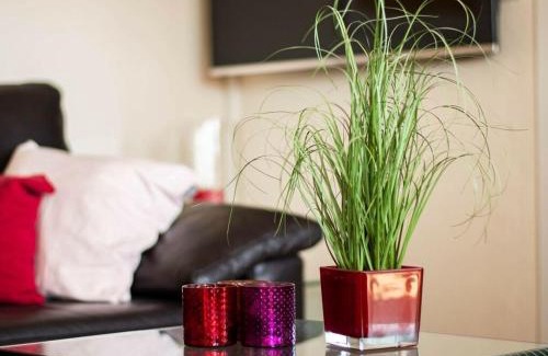 Wangerooge Casa | Haus Seeluft Apartment 32