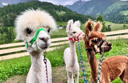 Maria Luggau Apartamento | Haus Strieder