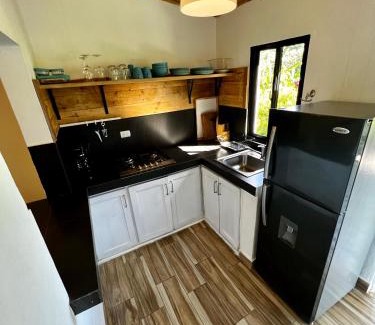 La Vega Province Casa | Haus unter Palmen
