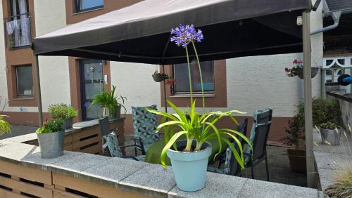 Zeltingen-Rachtig Apartamento | Haus Valentonio