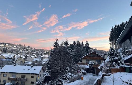Furtwangen Apartamento | Haus zum Wald