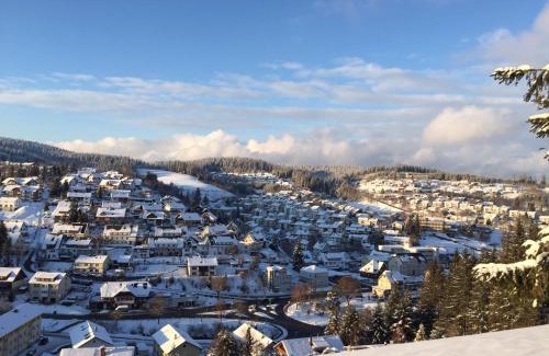 Furtwangen Apartamento | Haus zum Wald