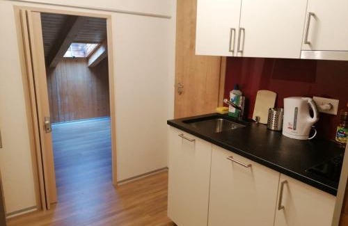 Goms Apartamento | Haus Zur Mühle