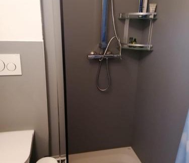 Goms Apartamento | Haus Zur Mühle