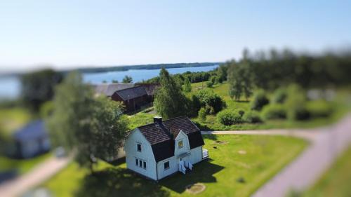Kalv Casa | Havsörn
