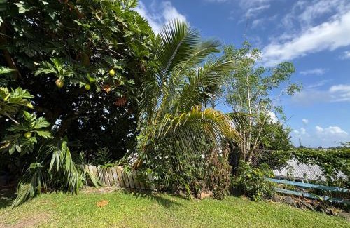 Hilo Cama Y Desayuno | Hawaiian Ohana Home