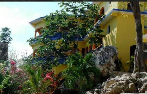 Little Bay Apartamento | Hayley's Paradise Limited