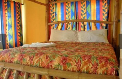 Little Bay Apartamento | Hayley's Paradise Limited