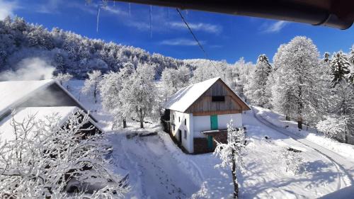 Gorenja vas-Poljane Apartamento | Healing Farm