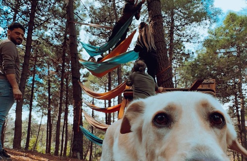 Sile Alquiler De RV | Healthy and Natural Experience in the Forest of Istanbul!
