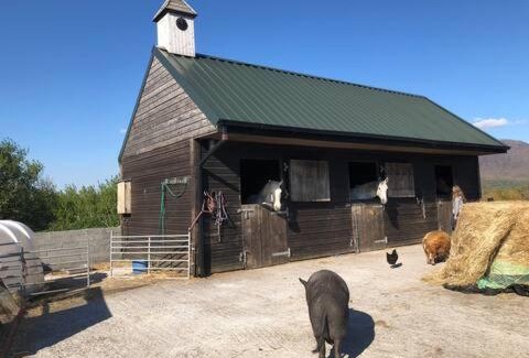 Letterfrack Casa | Heatherhill Farm Cottage in Letterfrack beside Connemara National Park