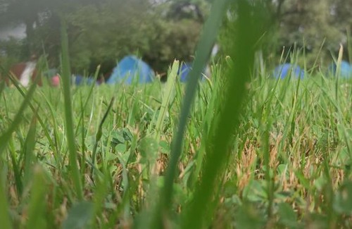 Moieciu Otro | Heaven Camping Bran