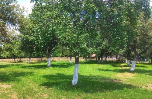 Moieciu Otro | Heaven Camping Bran