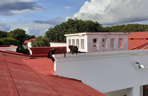 Colonia 10 De Abril Apartamento | Heaven red suites