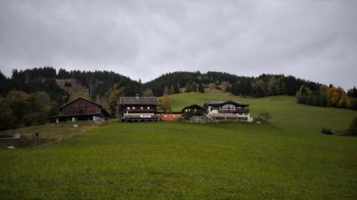 Viehhofen Casa | Hecherhof