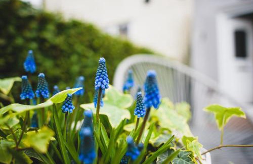 Great Yarmouth Casa | Hectors house