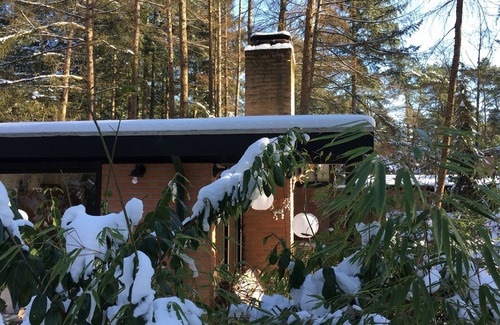 Giethmen Casa | Heerlijk Natuurhuisje Midden in het bos
