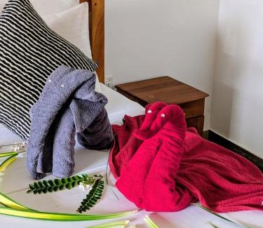 Aluthgama Casa | Hela Moksha Ayurvedic Villa