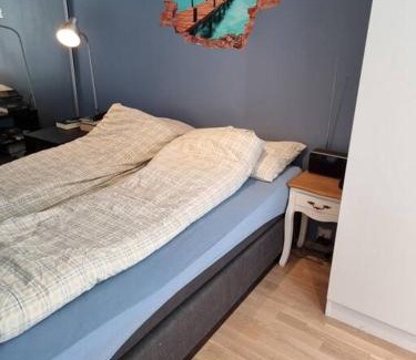 Grunerlokka Apartamento | Hele Leiligheten, Grünerløkka