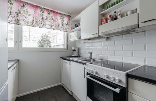 Seinajoki Apartamento | Heleenkatu 3 a 1 oma sauna autokatos omassa pihassa