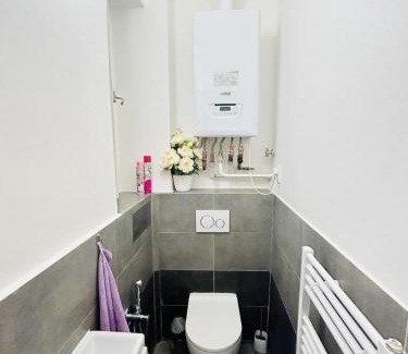 Vysehrad Apartamento | Helen Homestay Prague 2