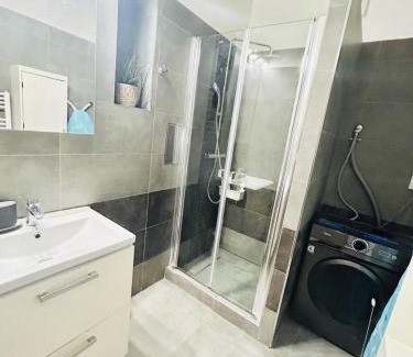 Vysehrad Apartamento | Helen Homestay Prague 2