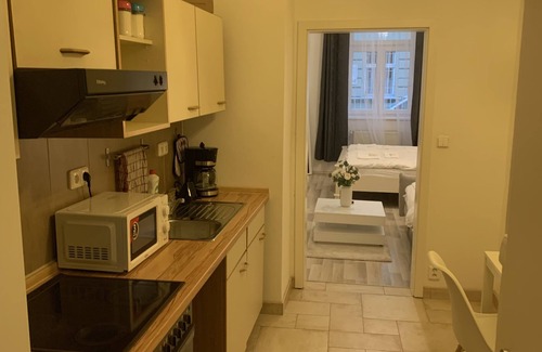 Vysehrad Apartamento | Helen Homestay Vyšehrad