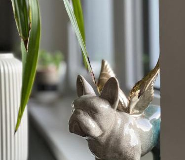 Linz Apartamento | Helle Wohnung in Top Lage!